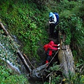 20111008─20111010畢祿山、羊頭山 DSC_0048.jpg