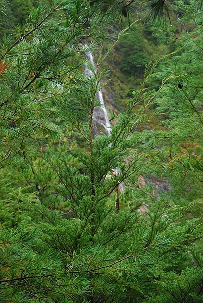 20111008─20111010畢祿山、羊頭山 DSC_0058.jpg