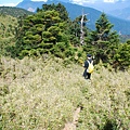 20121013─20121014郡大山 DSC_0112.JPG