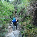 20121021畢祿山縱走羊頭山DSC_0026.jpg