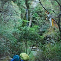 20121021畢祿山縱走羊頭山DSC_0030.jpg