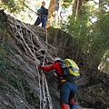 20121021畢祿山縱走羊頭山DSC_0052.jpg