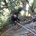 20121021畢祿山縱走羊頭山DSC_0056.jpg