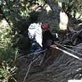 20121021畢祿山縱走羊頭山DSC_0057.jpg