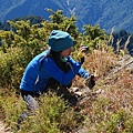 20121021畢祿山縱走羊頭山DSC_0096.jpg