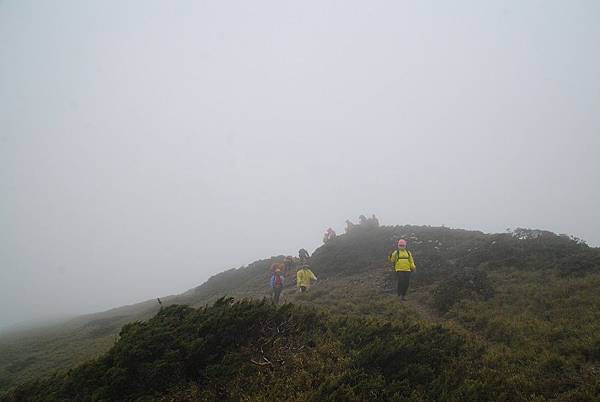 20140518合歡北峰、天巒池、武法奈尾山【台南南青】 0029.jpg