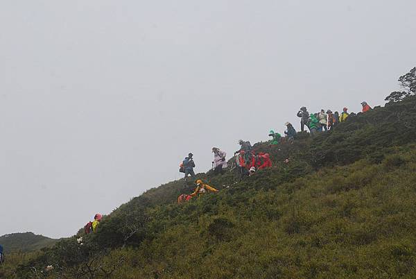 20140518合歡北峰、天巒池、武法奈尾山【台南南青】 0032.jpg