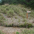 20140518合歡北峰、天巒池、武法奈尾山【台南南青】 0052.jpg