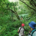 20110410組合山、雲森瀑布O形縱走 0047.jpg