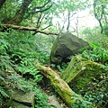 20110410組合山、雲森瀑布O形縱走 0049.jpg