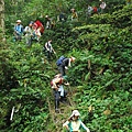 20110410組合山、雲森瀑布O形縱走 0102.jpg