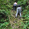 20110410組合山、雲森瀑布O形縱走 0118.jpg