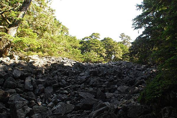 20140706池有山、品田山輕裝單攻 0031.jpg