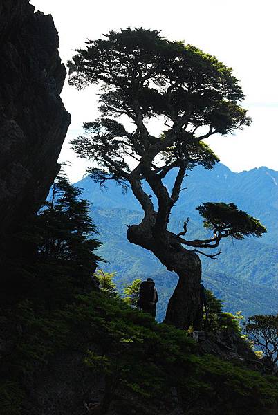 20140706池有山、品田山輕裝單攻 0071.jpg