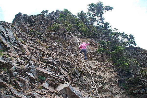 20140706池有山、品田山輕裝單攻 0097.jpg