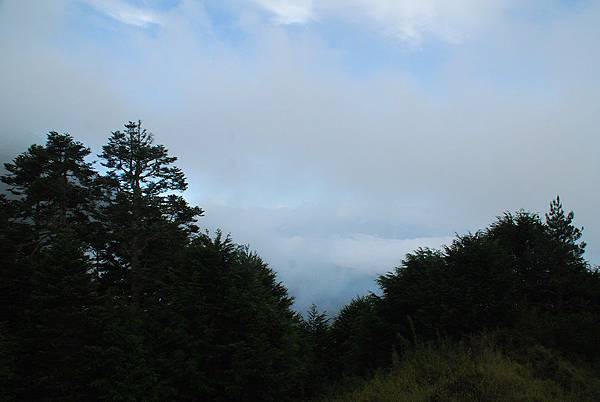 20140706池有山、品田山輕裝單攻 0155.jpg