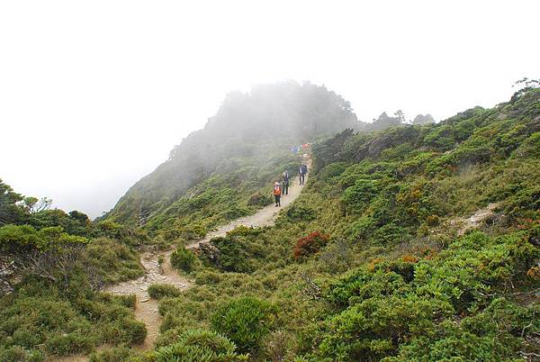 20140719─20140721三叉山、向陽山、嘉明湖 0047.jpg