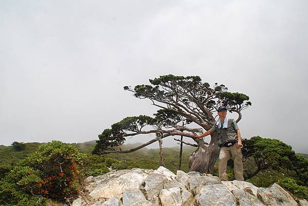 20140719─20140721三叉山、向陽山、嘉明湖 0069.jpg