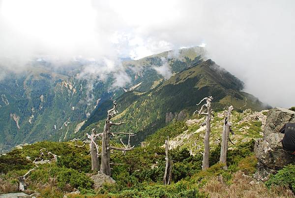 20140719─20140721三叉山、向陽山、嘉明湖 0091.jpg