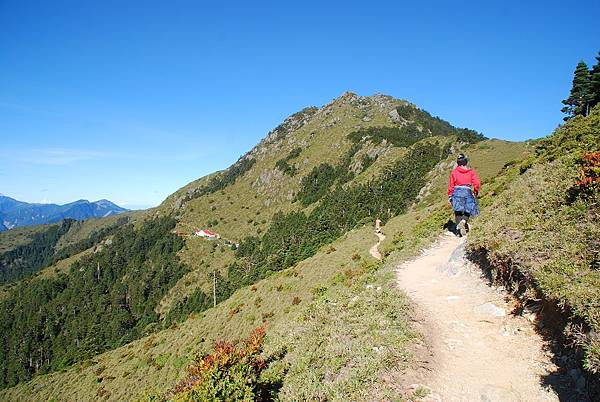 20140719─20140721三叉山、向陽山、嘉明湖 0248.jpg