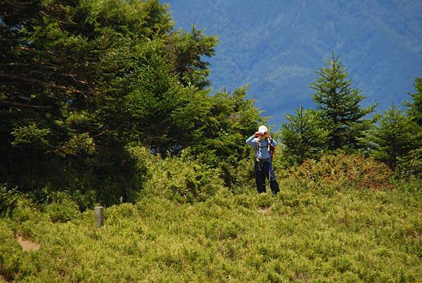 20140727合歡北峰、西峰 0043.jpg