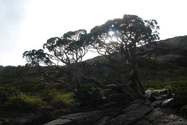 20140727合歡北峰、西峰 0114.jpg