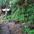 20140824仙夢園、石夢谷【台南南青】 0035.jpg