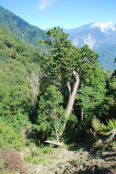 20141008─20141013新康橫斷下八通關古道出南安 0444.jpg