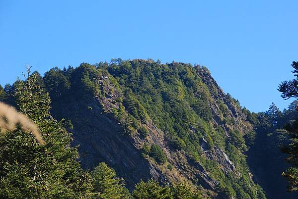 20141122─20141123羊頭山、畢祿山 0025.jpg