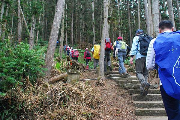 20141130仙山縱走神桌山【台南南青】 0020.jpg