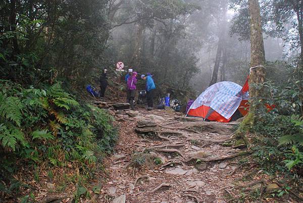 20150102─20150104北大武山 0039.jpg