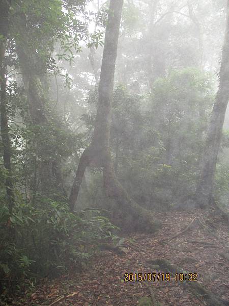 20150719嘉南雲峰、石壁山【台南快樂】 0018.jpg