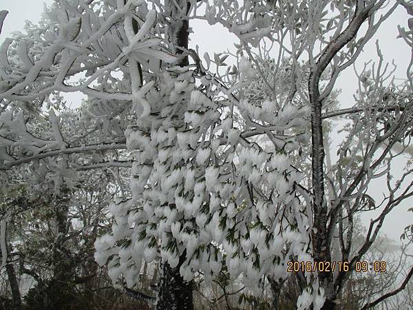 20160215─20160217立霧山、清水大山、千里眼山 0077.jpg