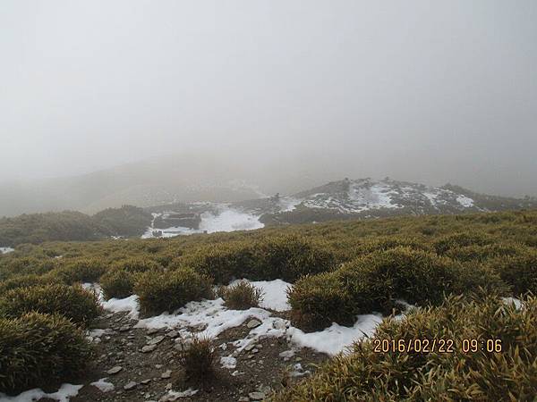 20160221─20160222南華山、奇萊南峰 0135.jpg