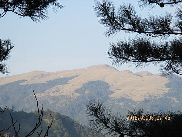 20160305─20160306羊頭山、畢祿山 0123.jpg