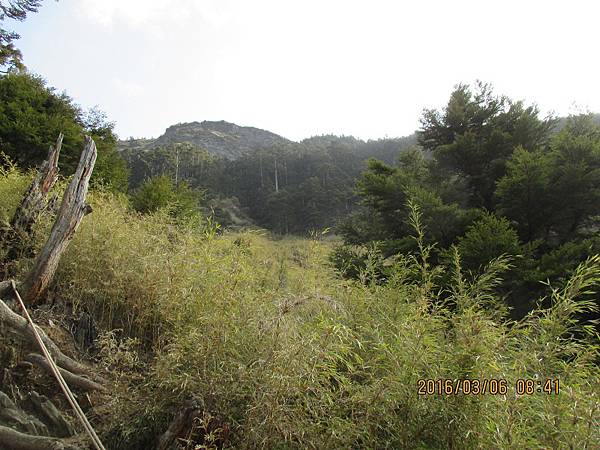 20160305─20160306羊頭山、畢祿山 0137.jpg