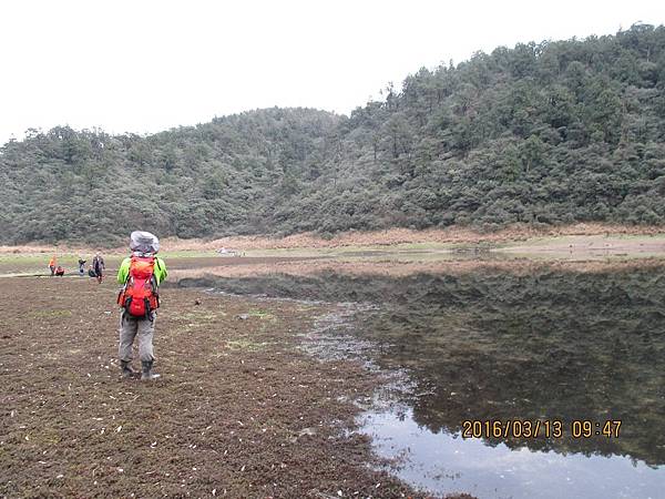 20160312─20160313松羅湖 0043.jpg