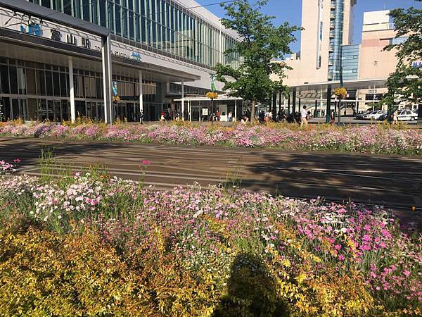 [遊記] 我愛富山-秘境私房景點，大岩山日石寺