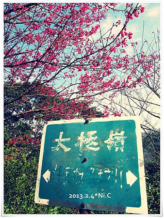 P2030550 P2030550