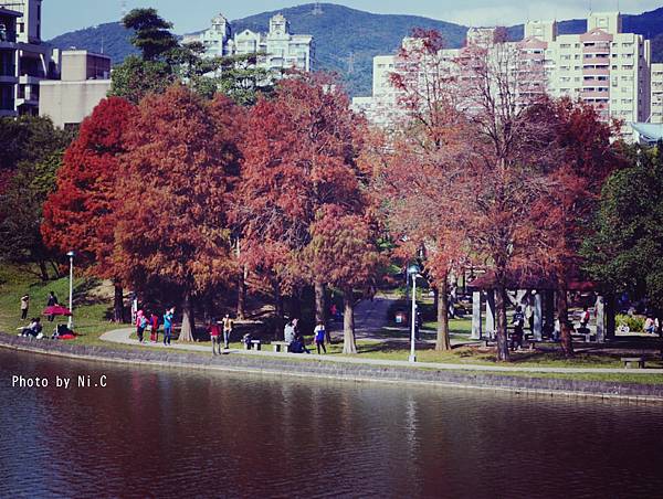 2015.1.3 大湖公園溜小孩