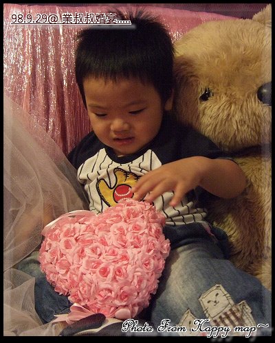 這顆毛毛的是什麼？