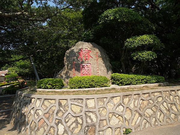 八二三戰史館旁的榕園