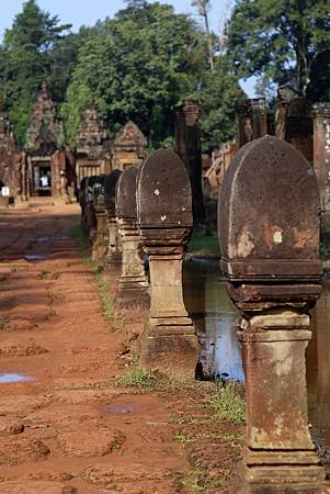 Angkor Wat -  50