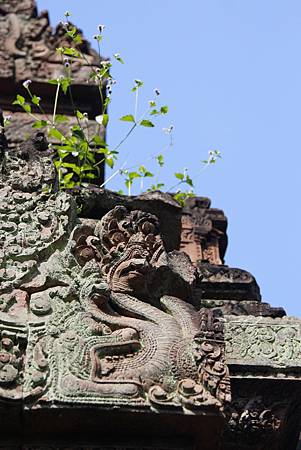 Angkor Wat - 64