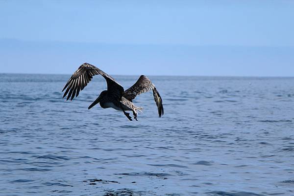 20160724-大浪至 – 全面性而來 (十一).jpg