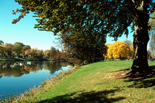 Longview Lake side.jpg