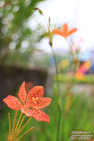 140331 宜蘭 幾米052.JPG