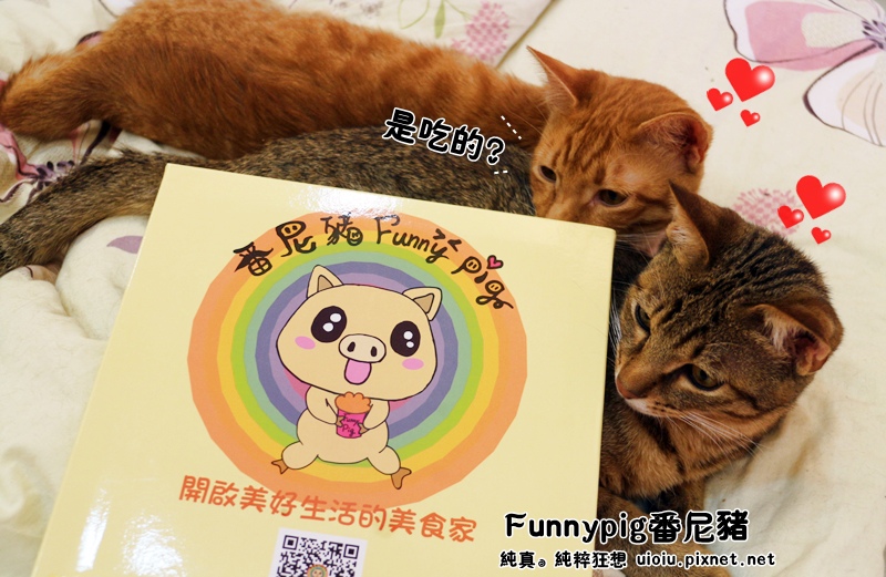 番尼豬000.JPG 番尼豬000.JPG