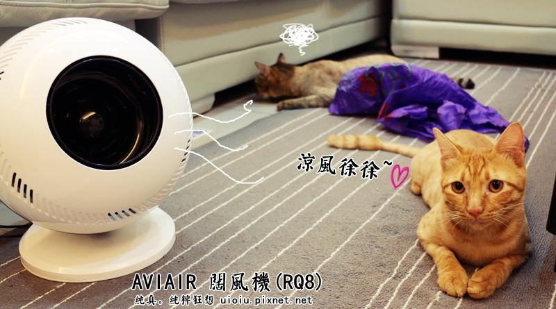AVIAIR 闊風機(RQ8)000.JPG AVIAIR 闊風機(RQ8)000.JPG