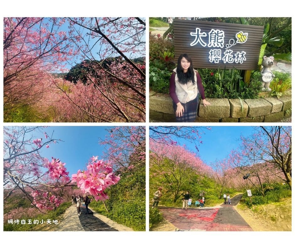 焗烤白玉的小天地 (35) (1).jpg